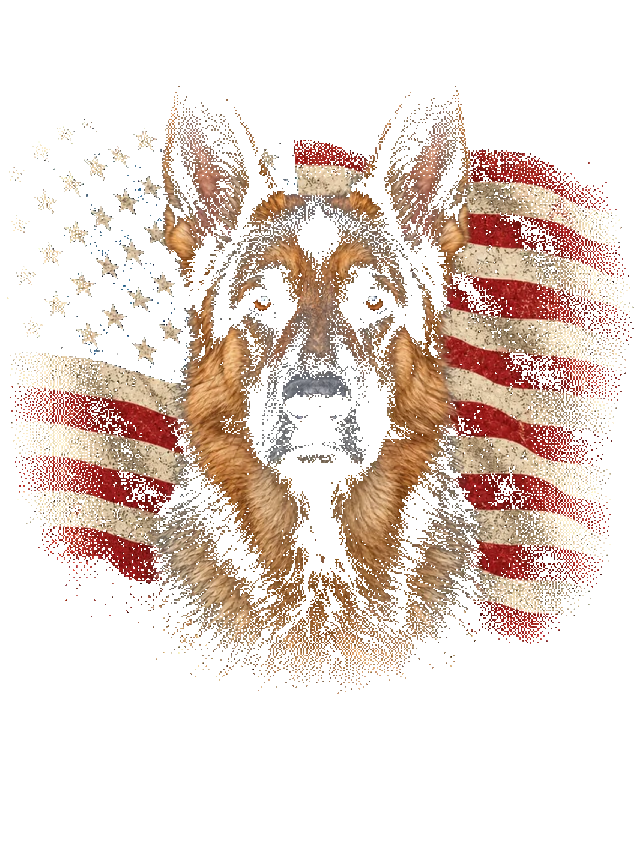 All-American pet portrait shirt