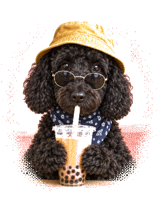 Boba Buddy - dog portrait shirt