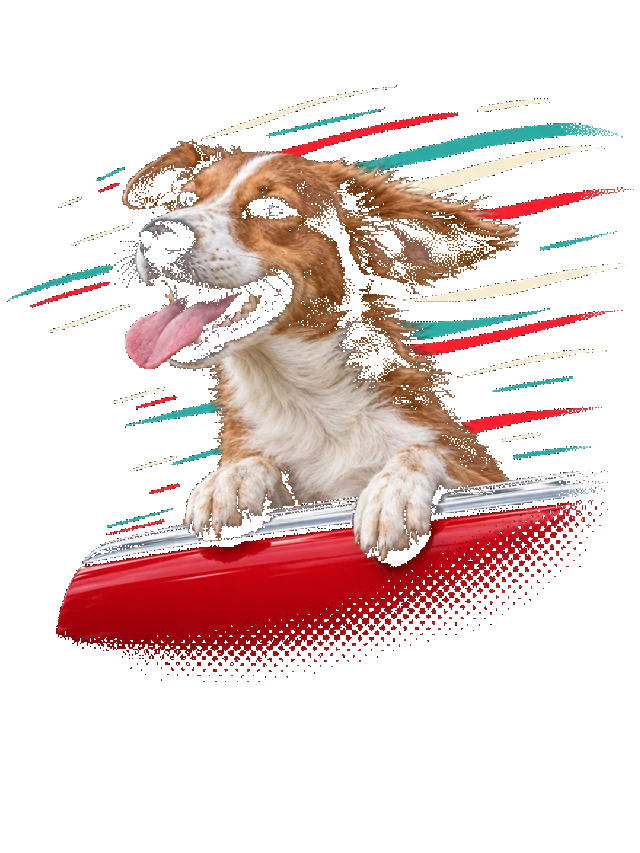 Co-Pilot - dog portrait shirt