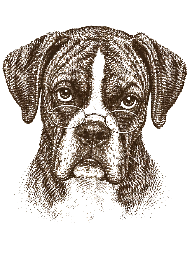 The Dad Stare dog portrait shirt