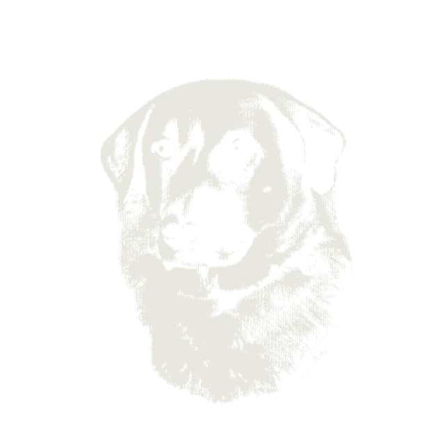 Shirt design
