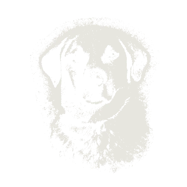 rottweiler shirt design
