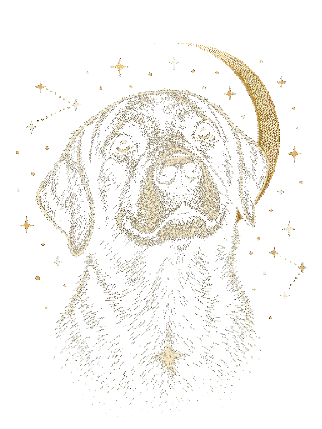 Over the Moon pet portrait shirt