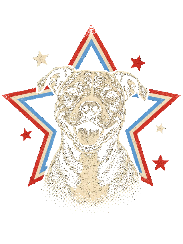 Star-Spangled pet portrait shirt