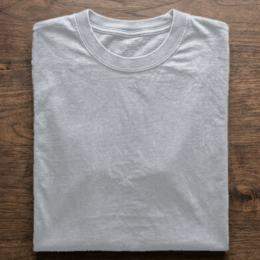 chambray t-shirt