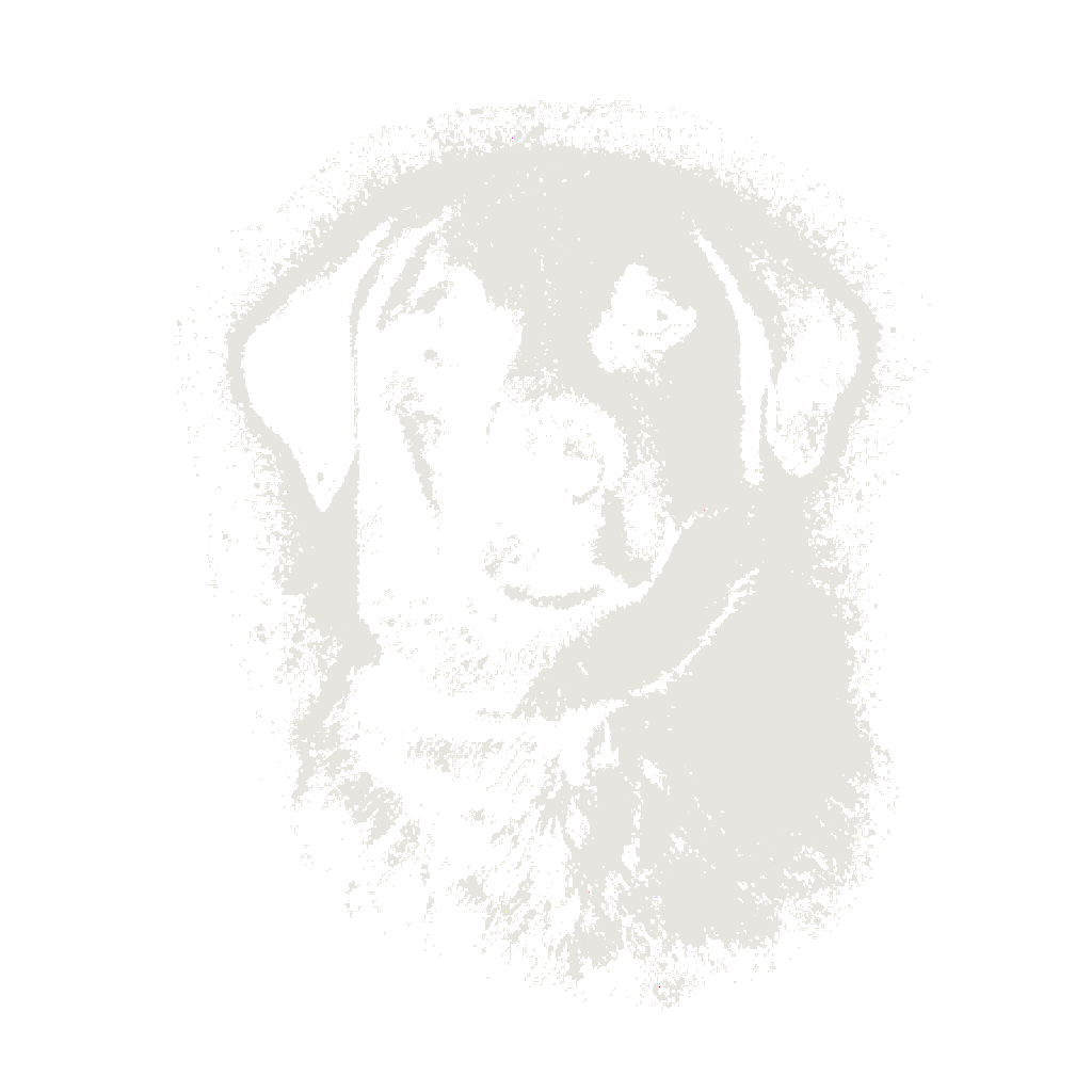 A dog portrait printed in one bone ink on a black tee
