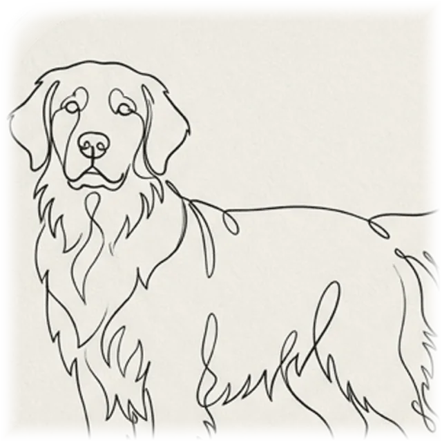 Minimal Line Art pet portrait shirt