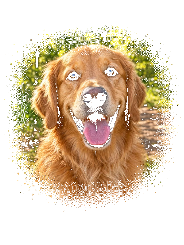 Photo Real AI dog portrait shirt